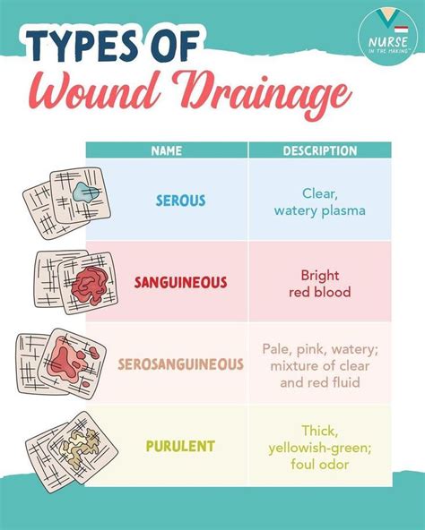 How To Recognize Different Types Of Wound Drainage